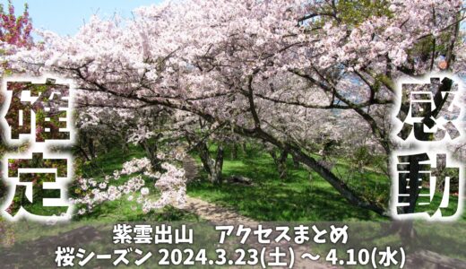 紫雲出山 桜シーズン2024年3.23(土)～4.10(水)の行き方まとめ