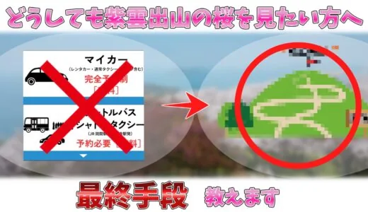 紫雲出山 桜シーズン~山頂への裏道 2024~