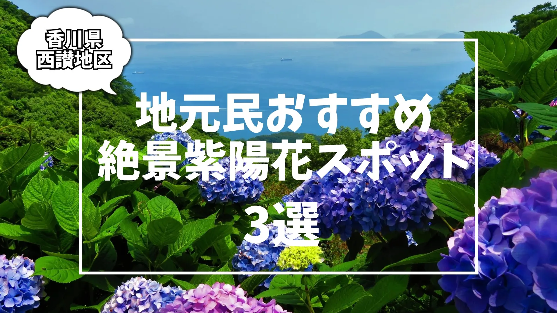 香川県・西讃地区】6月が見ごろ！紫陽花（アジサイ）の名スポット3選