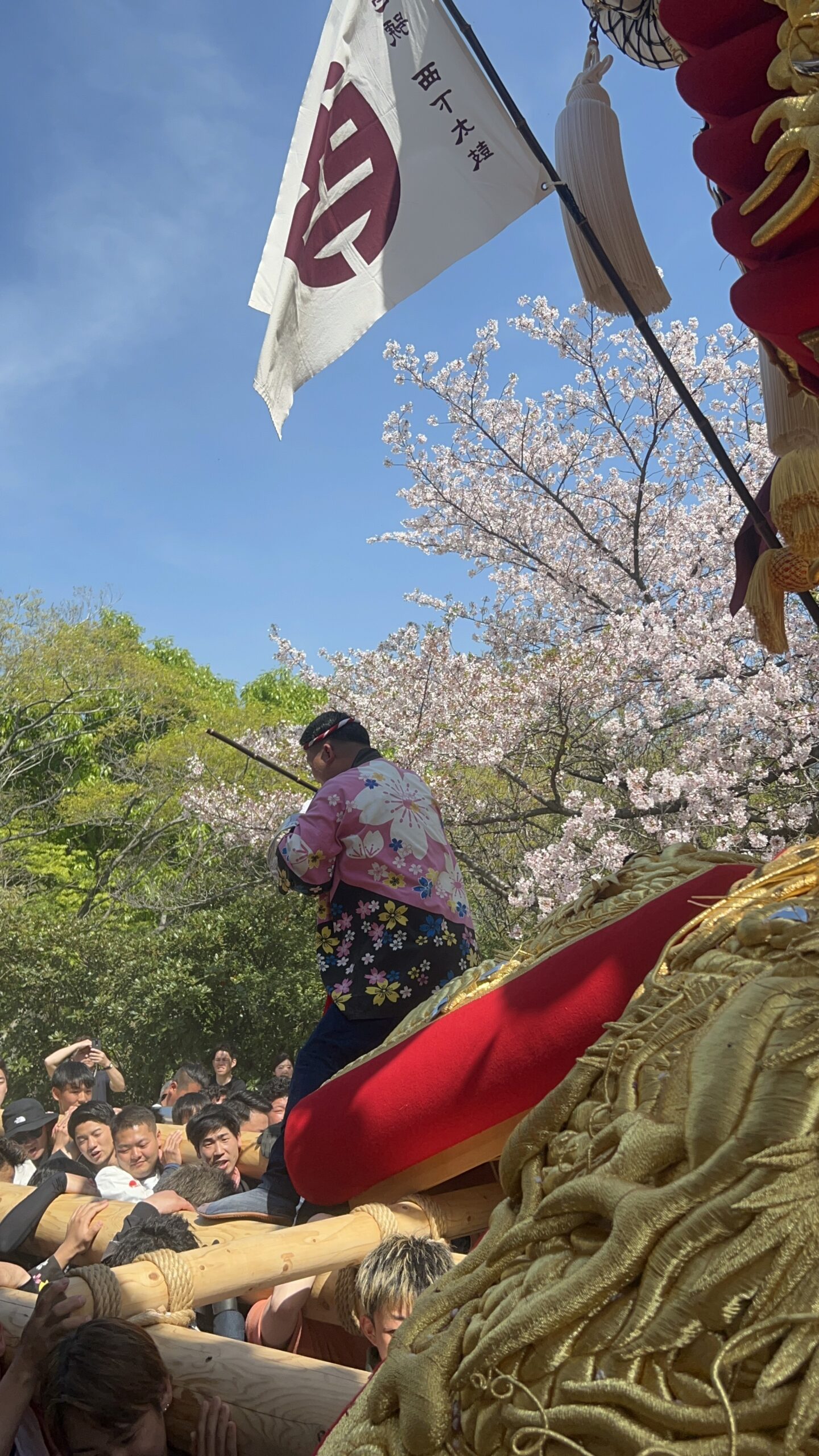 光り葉の宮殿　日4枚 YAM-10-1430 風景 金色の社寺・東照宮陽明門(栃木) 1000ピース