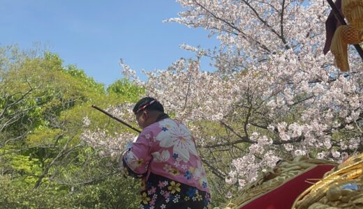 高屋神社は『桜の宮』🌸