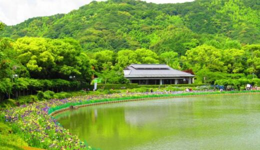 【宇和島市】日本庭園 南楽園｜四国最大級の池泉回遊式日本庭園