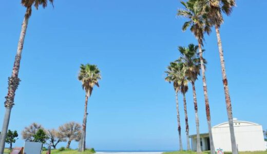 【観音寺市】一の宮公園｜瀬戸内海に沈む夕日を望む海岸沿いの公園