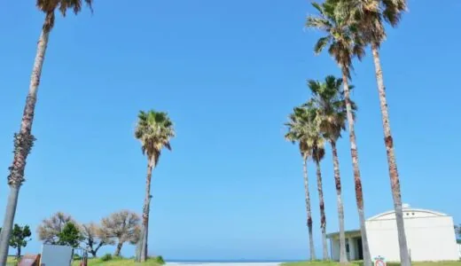 【観音寺市】一の宮公園｜瀬戸内海に沈む夕日を望む海岸沿いの公園