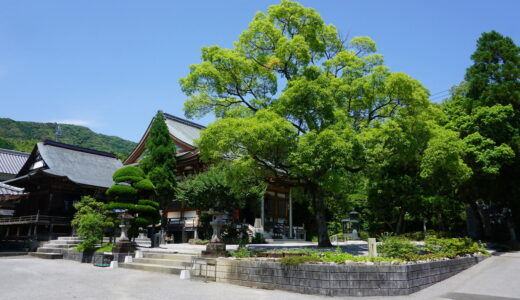 四国霊場第三十番札所～善楽寺～