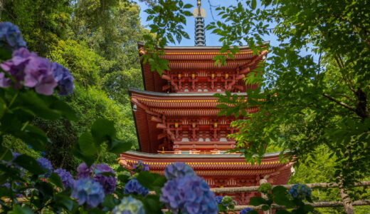 四国霊場第三十六番札所～青龍寺～
