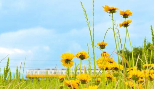 【高松市】ことでんJRくるり〜んきっぷ｜香川の主要観光地を1日で巡れる便利な周遊きっぷ