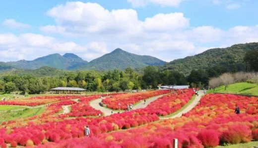 [萬濃町]贊岐萬濃國營公園|四國唯一的國立公園，佔地350公頃的廣闊自然空間