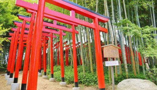【丸亀市】中津万象園｜江戸時代に造られた京極家の大名庭園