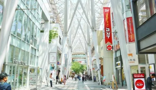 [高松市] 高松中央商店街|日本最长的直线拱廊商店街
