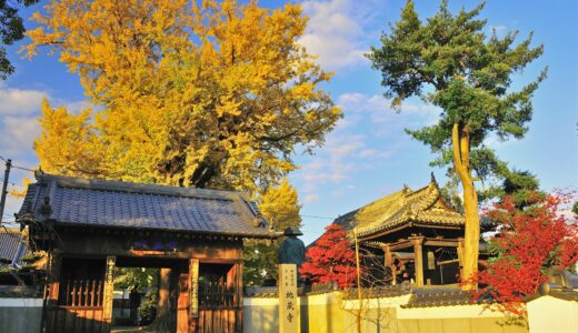 四国霊場第五番札所～地蔵寺～