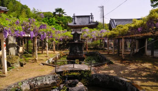四国圣地第11号～藤井寺～