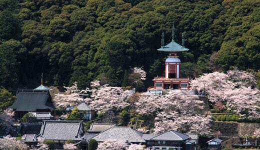 四国霊場第二十三番札所～薬王寺～