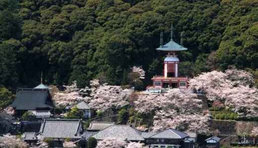 四国圣地第23号～药王寺～