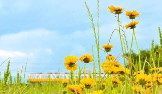 [Takamatsu City] Kotoden JR Kururi-n Ticket | Convenient round-trip ticket that allows you to visit Kagawa's main tourist spots in one day