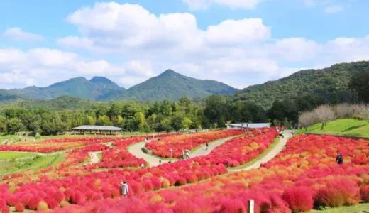 [万浓町]赞岐万浓国营公园|四国唯一的国立公园，占地350公顷的广阔自然空间