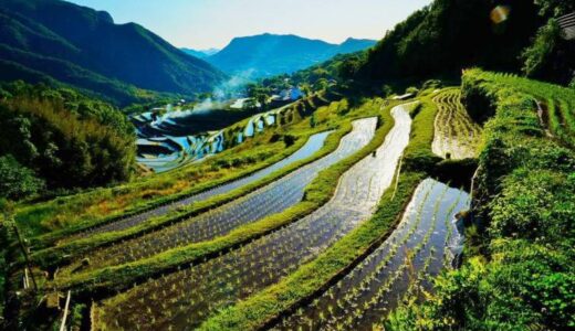 【小豆島】中山千枚田｜日本の棚田百選にも選ばれた段々畑の絶景