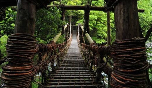 【三好市】祖谷のかずら橋｜シラクチカズラで編まれた日本三大奇橋のひとつ